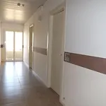 Muccioli